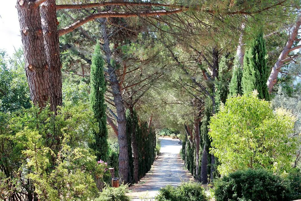 Farm stay Agriturismo Antico Borgo Poggitazzi Loro Ciuffenna